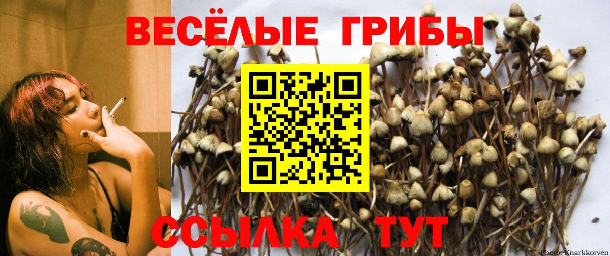 Галлюциногенные грибы ЛСД  Вход с VPN  Галлюциногенные грибы ЛСД  Южно-Сахалинск 
