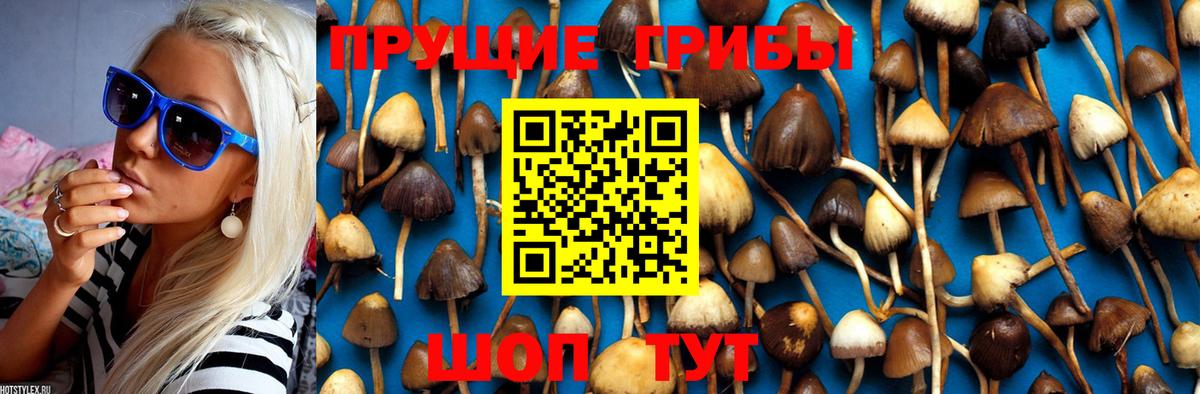 Галлюциногенные грибы Magic Shrooms Южно-Сахалинск